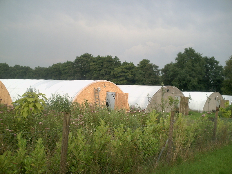 Gewaechshaus gewaechshaeuser